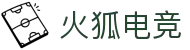 火狐电竞 - 助你从观赛到懂赛的进阶指南
